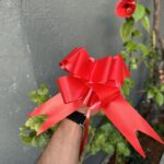 شبرة هدية لون عشوائي مجانية